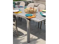 Arredo giardino Set nardi alloro con 4 palma  in expo Nardi a prezzo scontato
