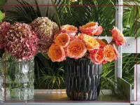 Oggettistica Jelly di Kartell scontata - 20%