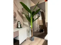 Oggettistica Pianta banano di Bizzotto in offerta