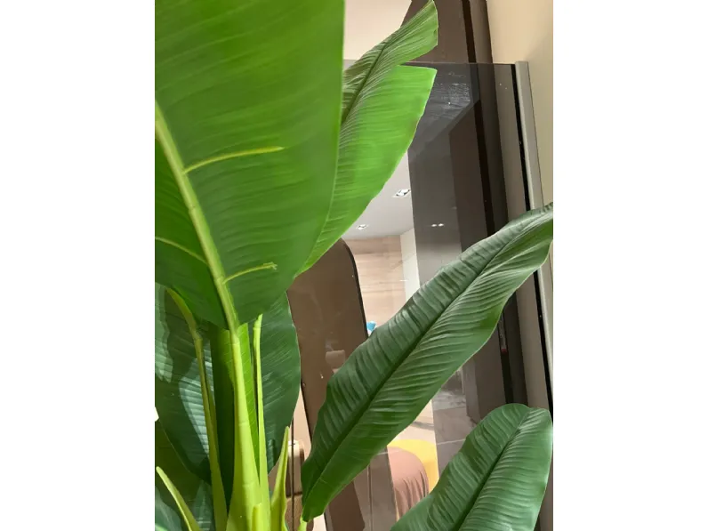Oggettistica Pianta banano di Bizzotto in offerta