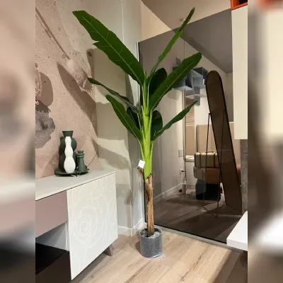 Oggettistica Pianta banano di Bizzotto in offerta