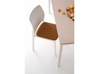 Sedia Tipa imbottita da cucina realizzata in plastica scontata del 30%