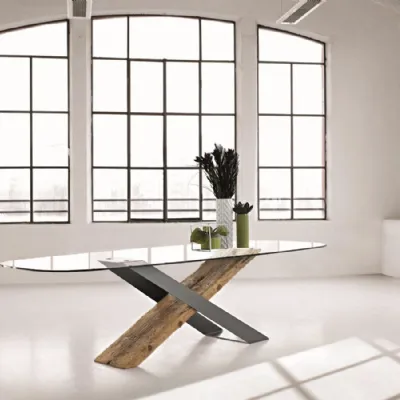Tavolo ellittico in vetro Modello x  Nature design in Offerta Outlet