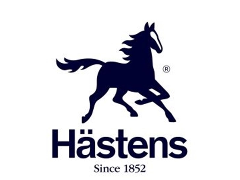 hastens mattress topper review